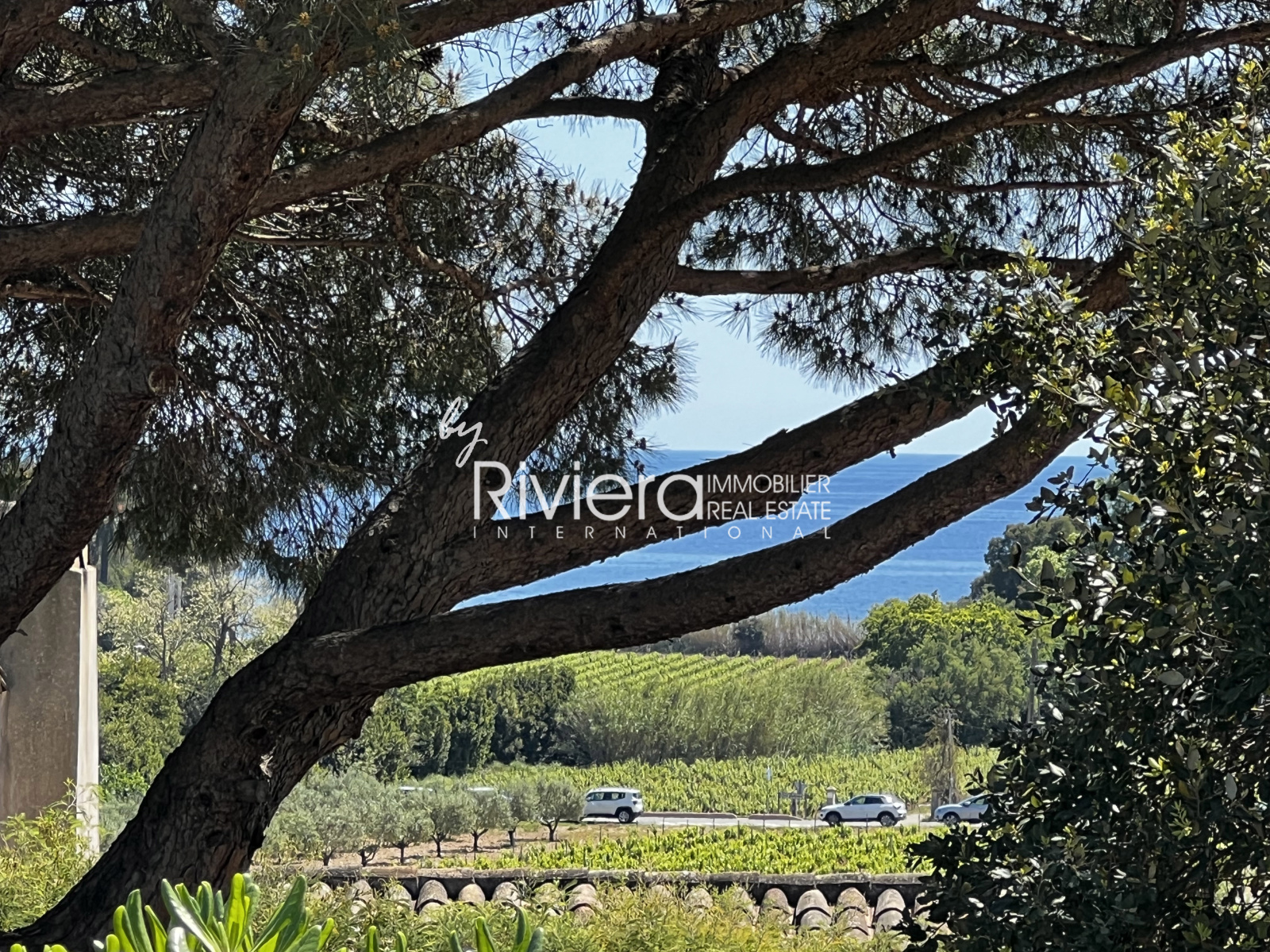 Image_2, Propriété, La Croix-Valmer, ref :VPR10001662