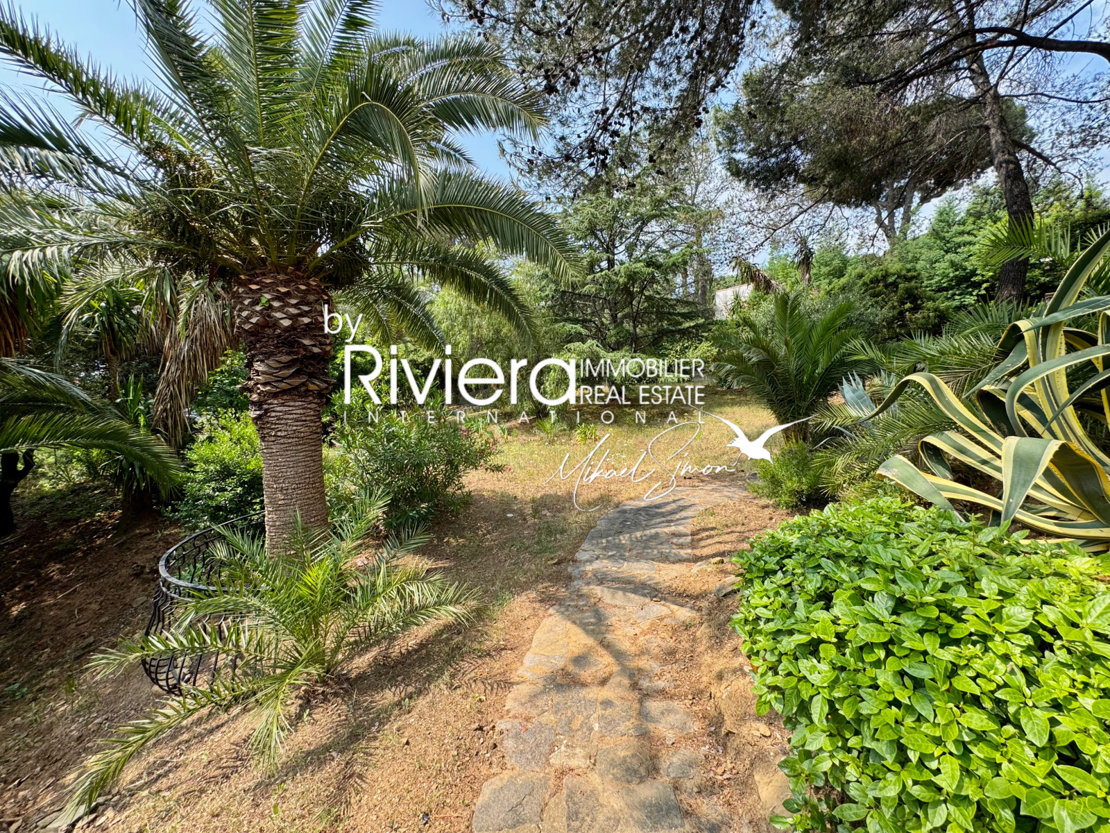 Image_31, Villa, La Croix-Valmer, ref :VVI10002564