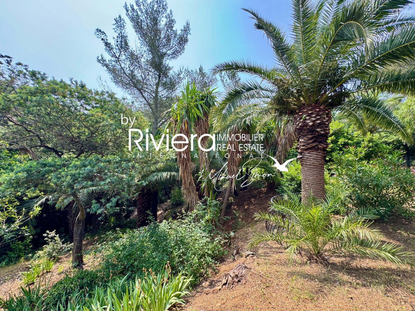 Image_30, Villa, La Croix-Valmer, ref :VVI10002564