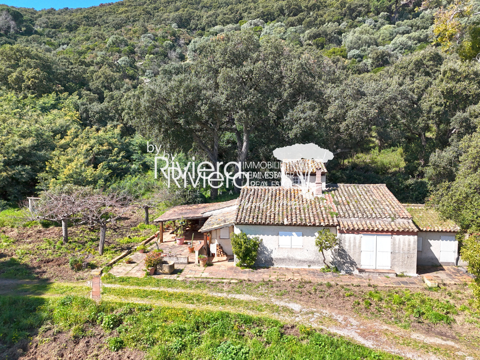 Image_3, Villa, Cavalaire-sur-Mer, ref :VVI150002146
