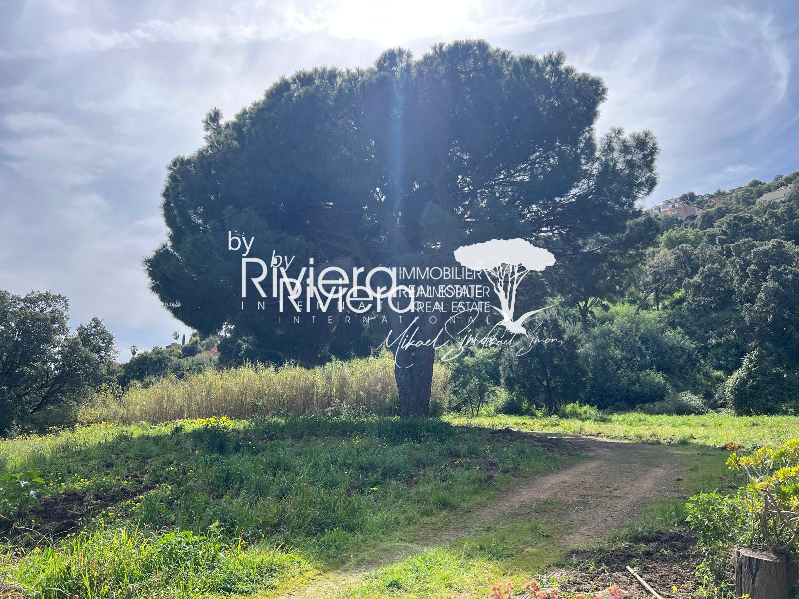 Image_14, Villa, Cavalaire-sur-Mer, ref :VVI150002146