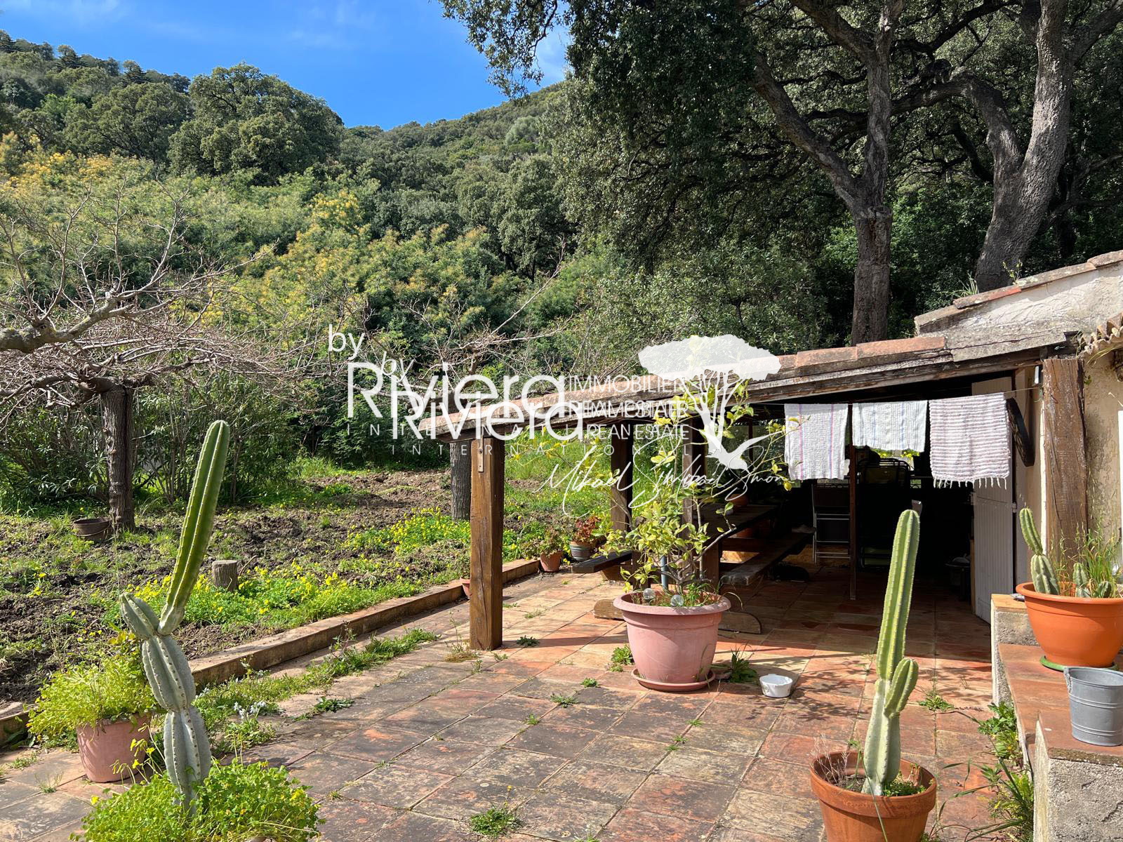 Image_8, Villa, Cavalaire-sur-Mer, ref :VVI150002146