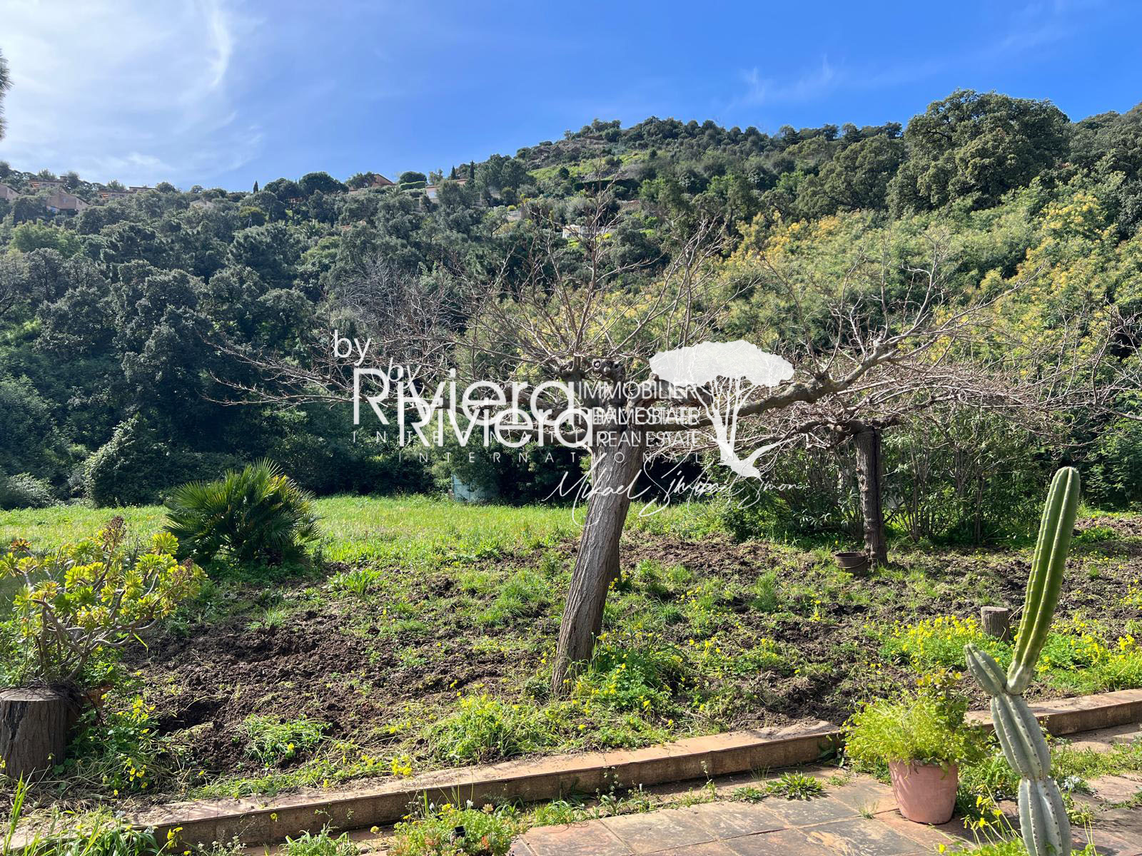 Image_6, Villa, Cavalaire-sur-Mer, ref :VVI150002146