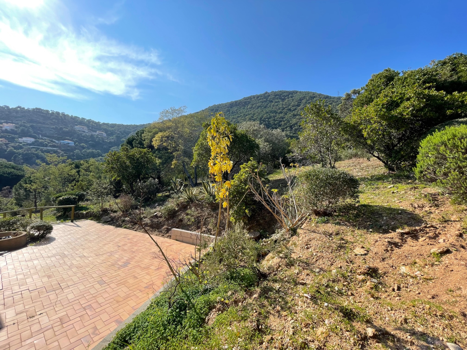 Image_10, Villa, Cavalaire-sur-Mer, ref :VVI10002549