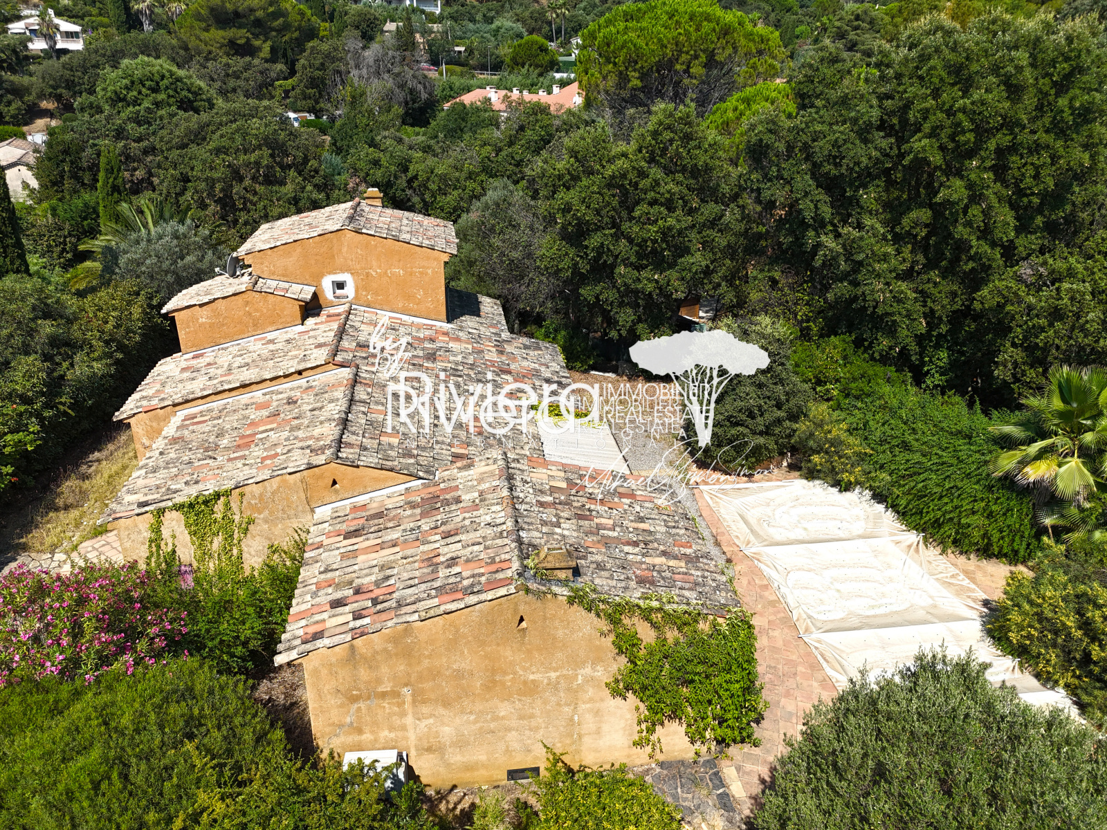 Image_28, Villa, La Croix-Valmer, ref :VVI10001989