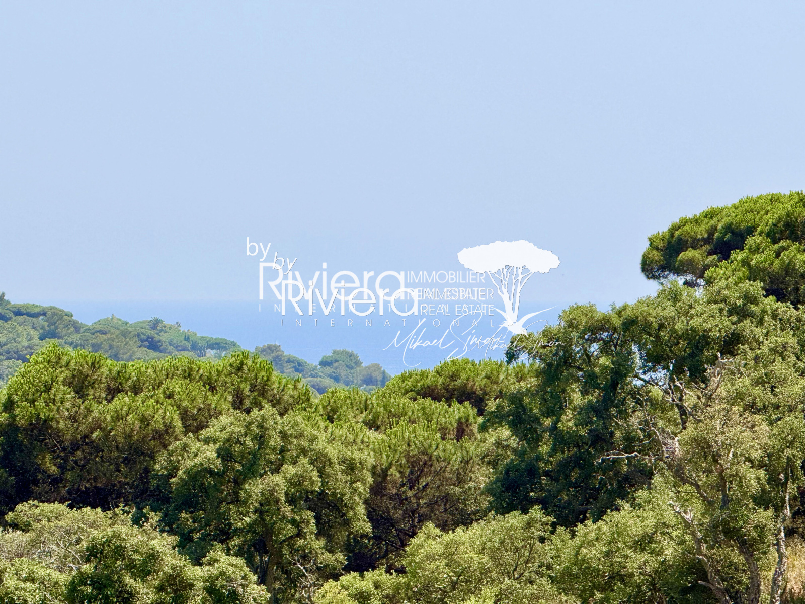 Image_22, Propriété, La Croix-Valmer, ref :VPR10002592