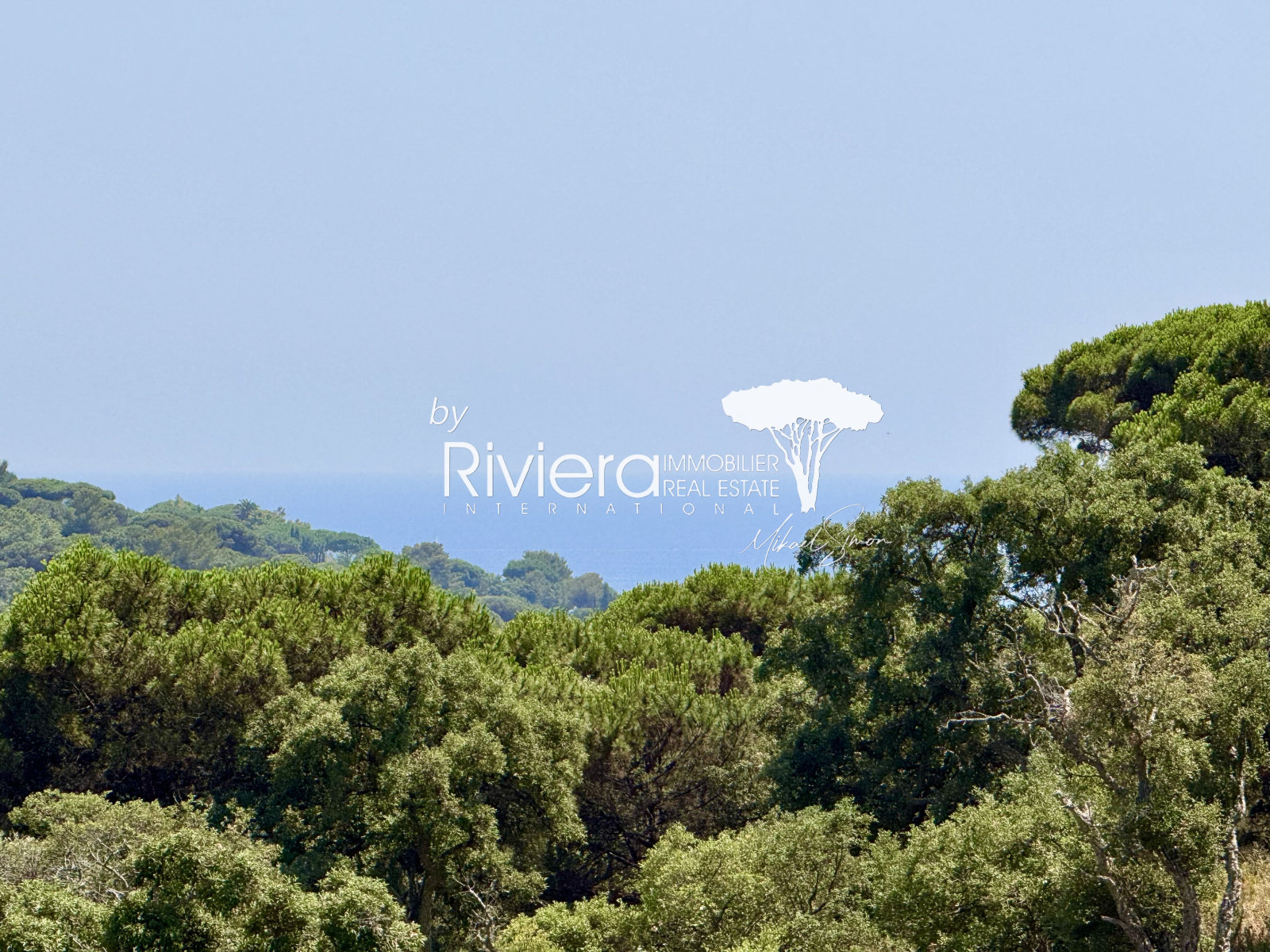 Image_38, Propriété, La Croix-Valmer, ref :VPR10002592