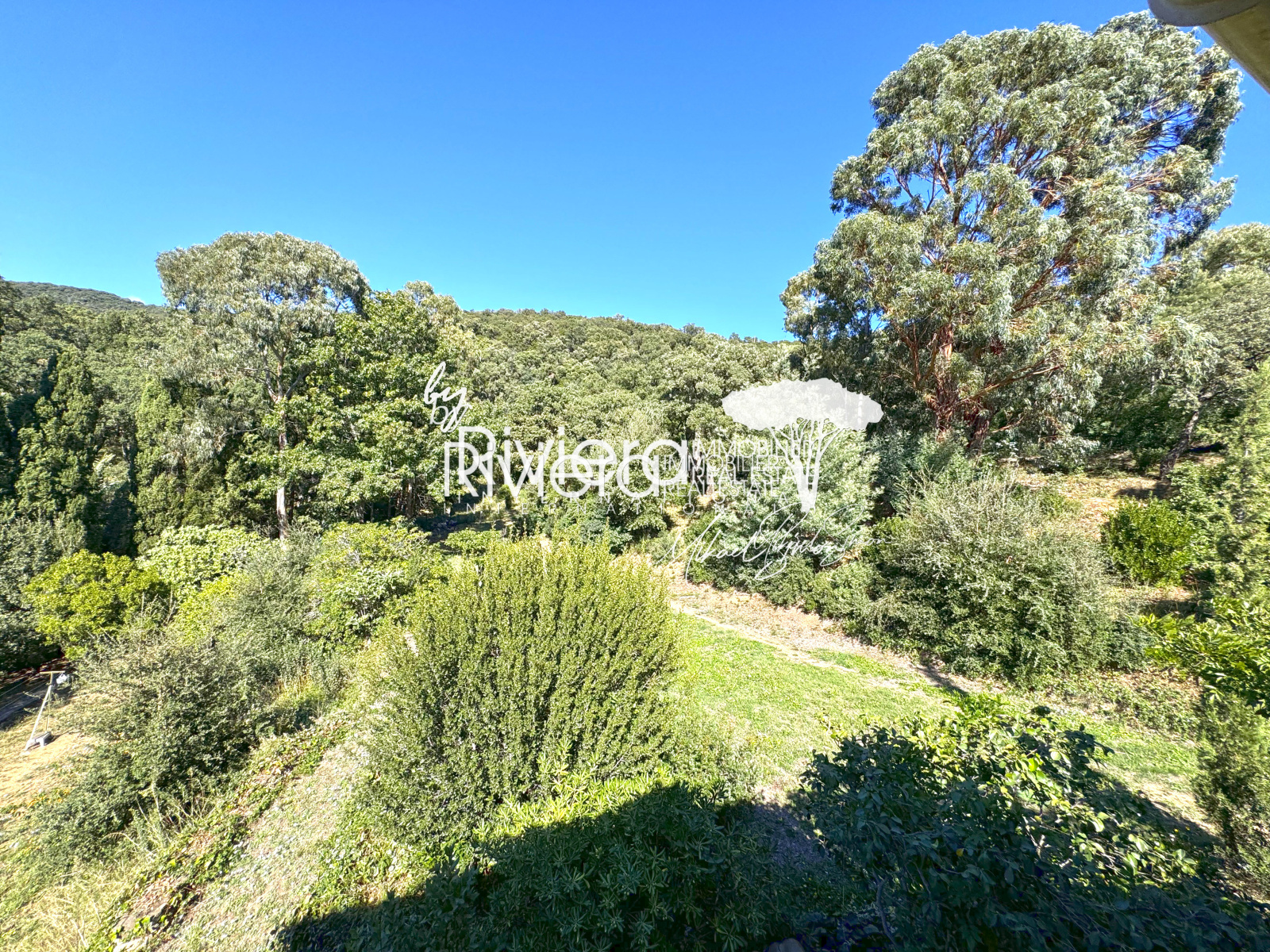 Image_22, Villa, Cavalaire-sur-Mer, ref :VVI10002045