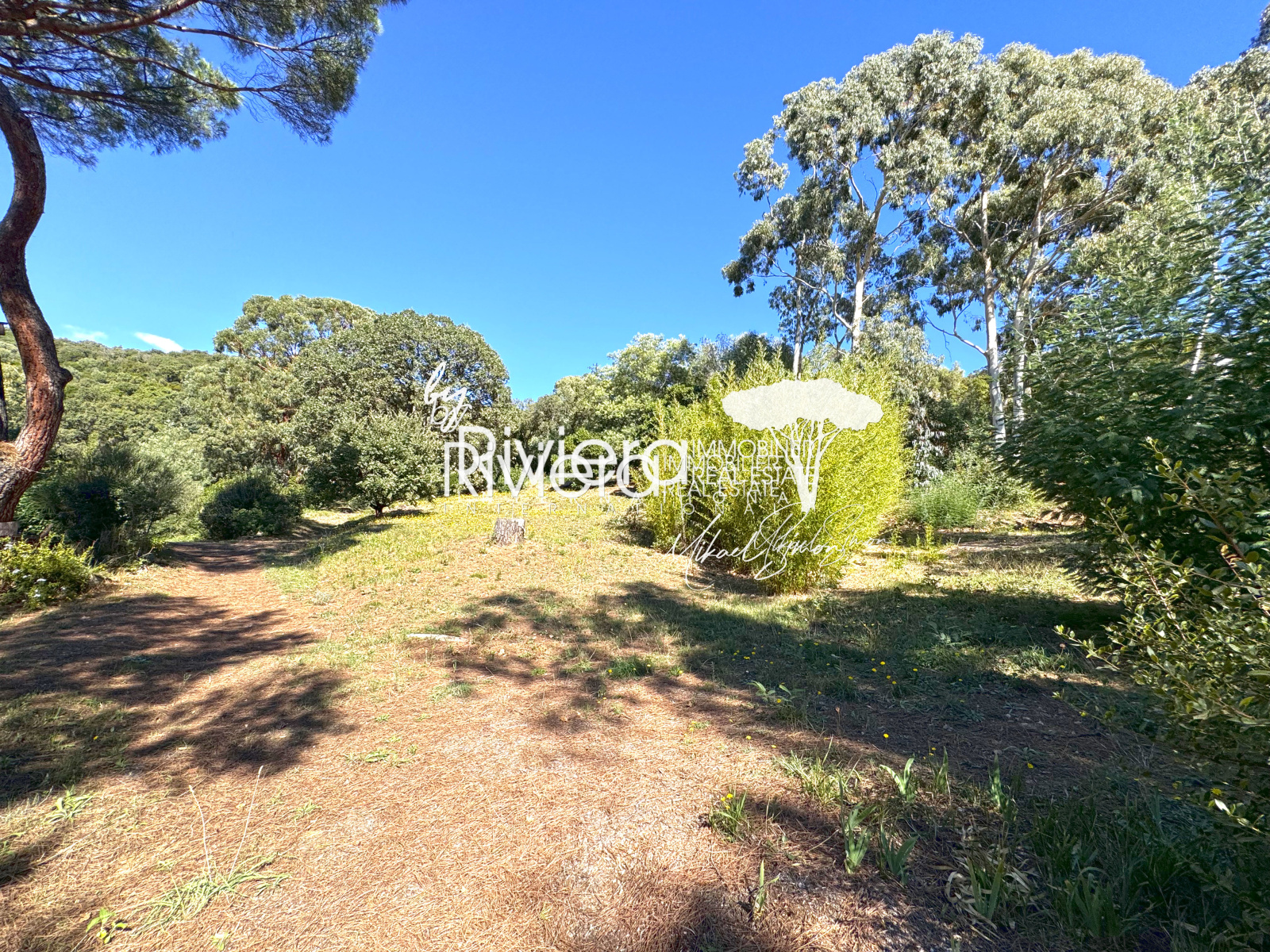 Image_7, Villa, Cavalaire-sur-Mer, ref :VVI10002045