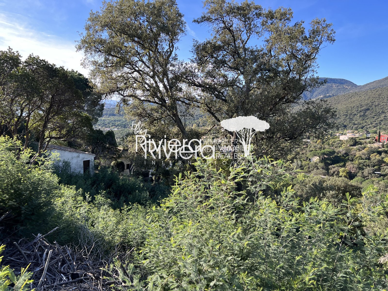 Image_3, Terrain, La Croix-Valmer, ref :VTE10001706