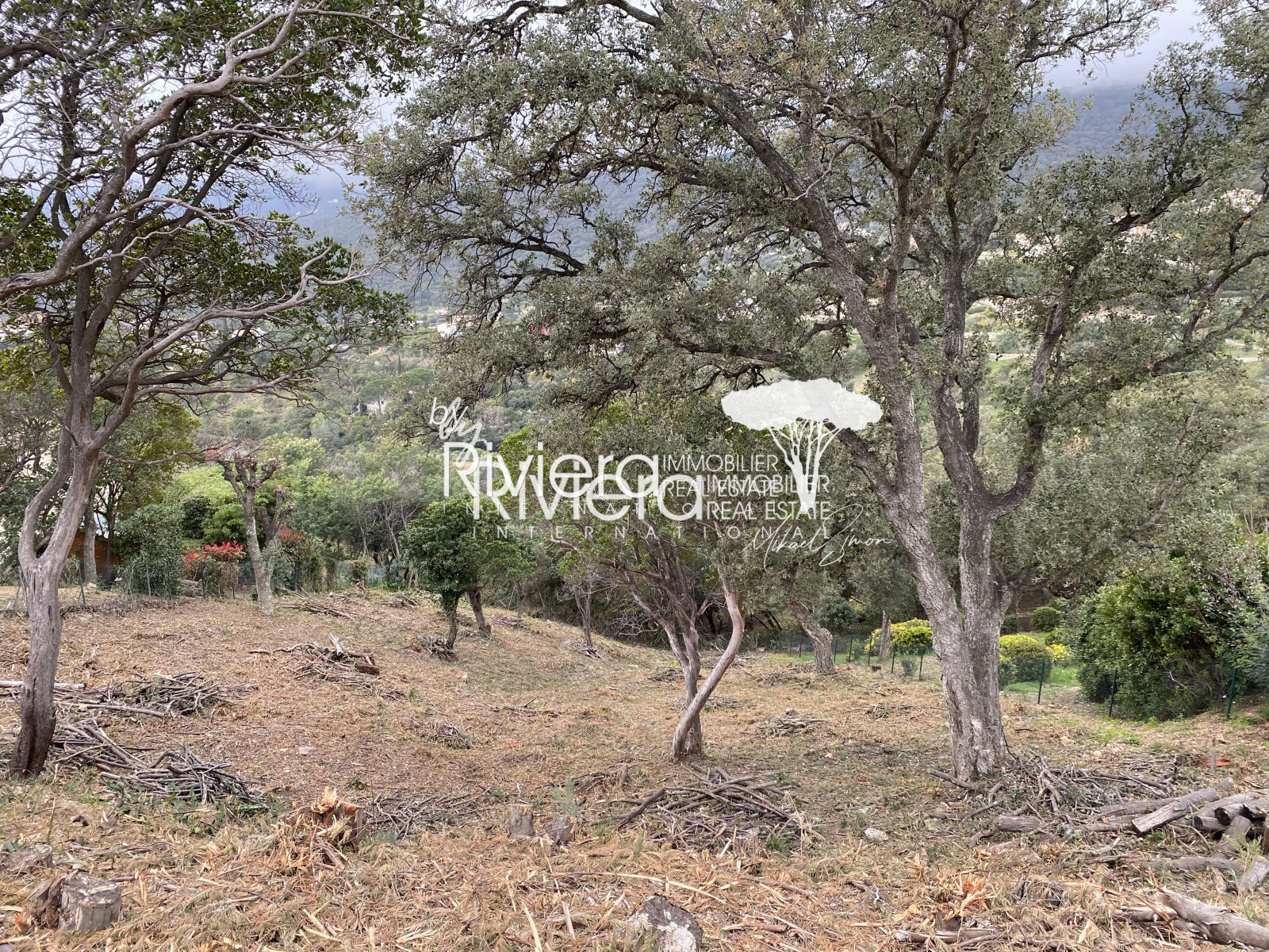 Image_2, Terrain, La Croix-Valmer, ref :VTE10001706