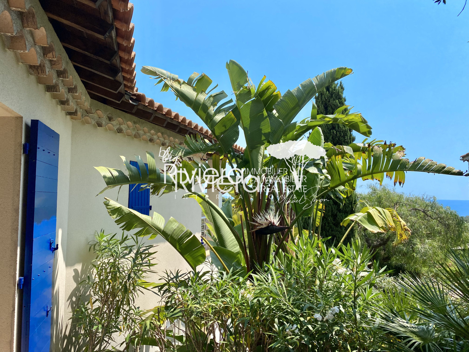 Image_32, Villa, La Croix-Valmer, ref :VVI10001699