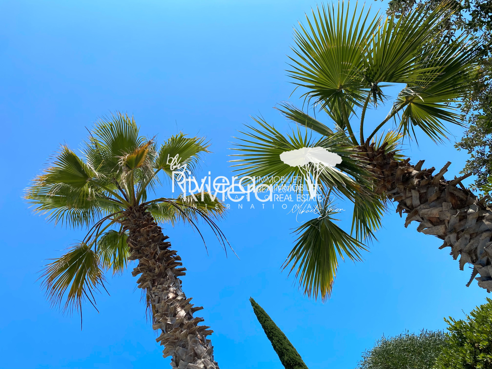 Image_33, Villa, La Croix-Valmer, ref :VVI10001699