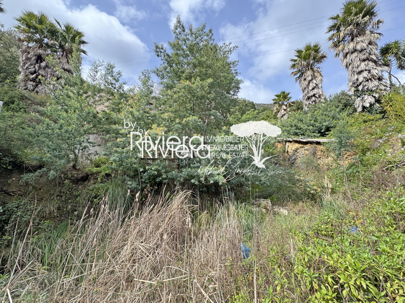 Image_9, Villa, Cavalaire-sur-Mer, ref :VVI10002132