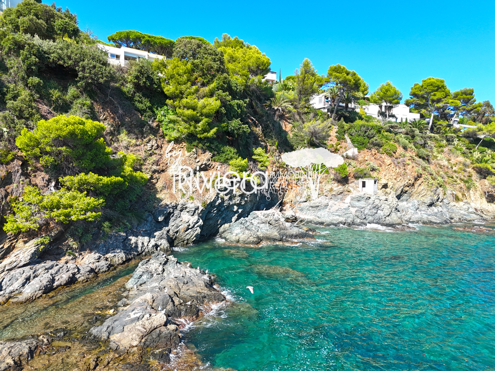 Image_1, Propriété, La Croix-Valmer, ref :VVI10002048