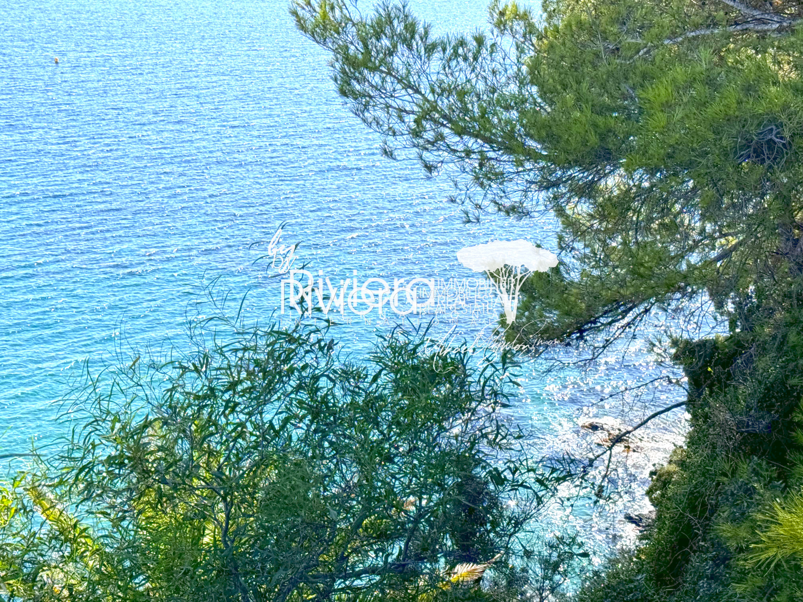 Image_23, Propriété, La Croix-Valmer, ref :VVI10002048