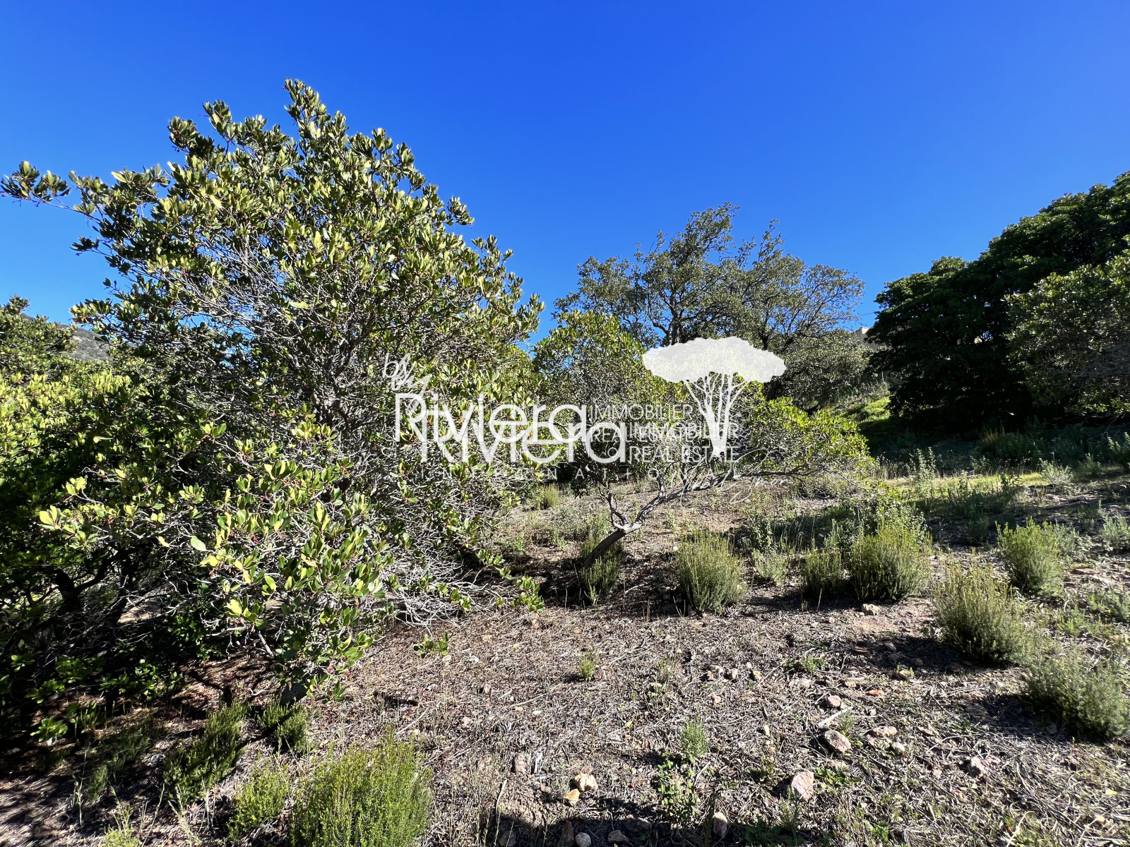 Image_3, Terrain, Rayol-Canadel-sur-Mer, ref :VTE10001509