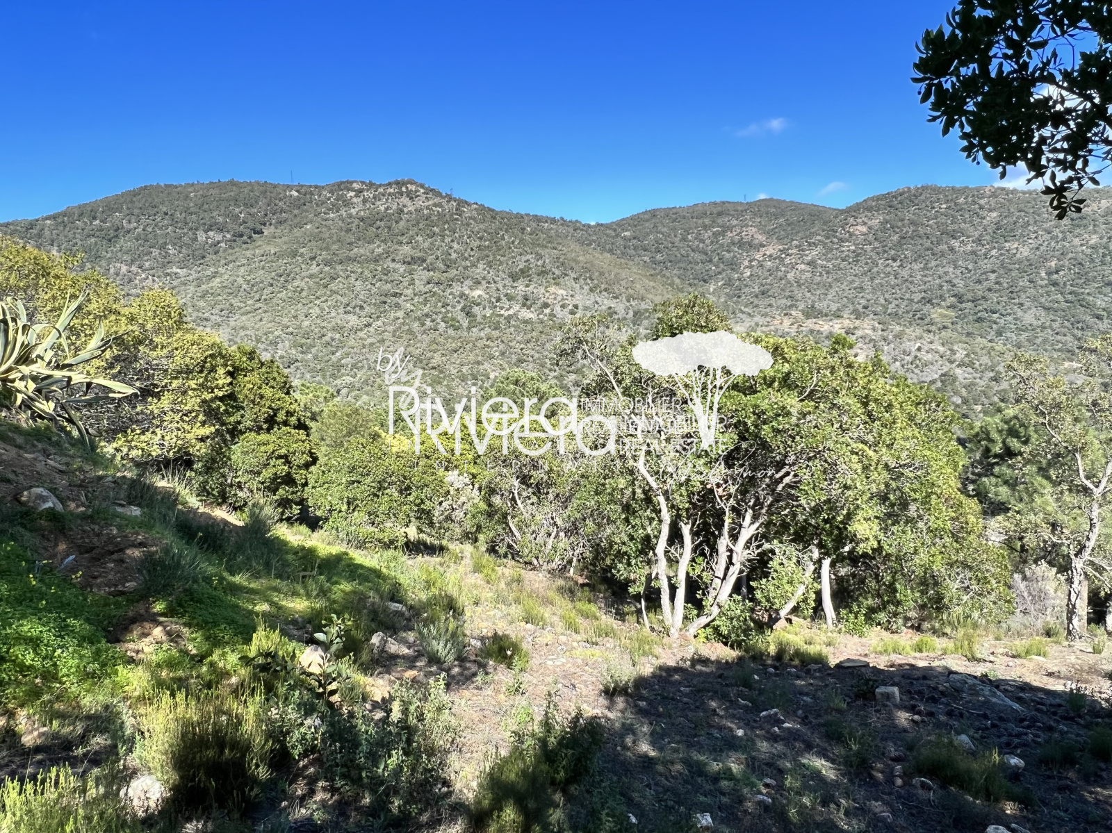Image_2, Terrain, Rayol-Canadel-sur-Mer, ref :VTE10001509