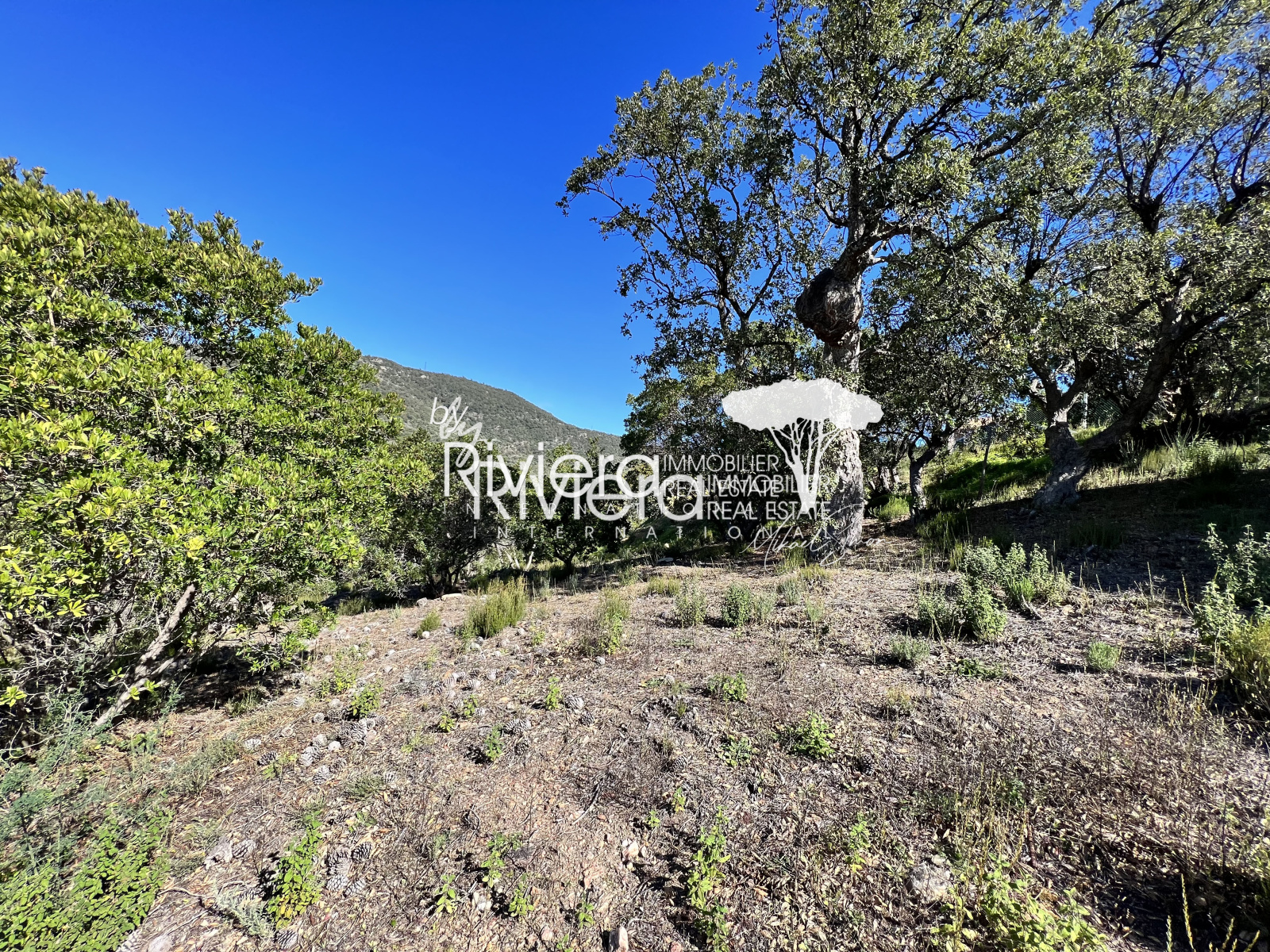 Image_5, Terrain, Rayol-Canadel-sur-Mer, ref :VTE10001509