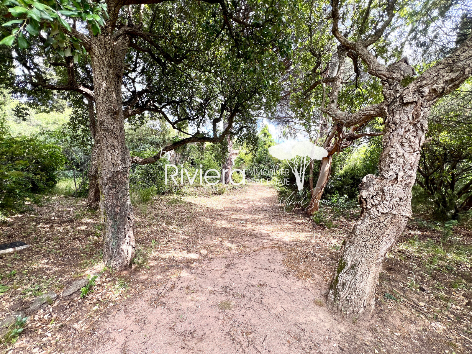 Image_6, Maison, Gassin, ref :VMA150002766