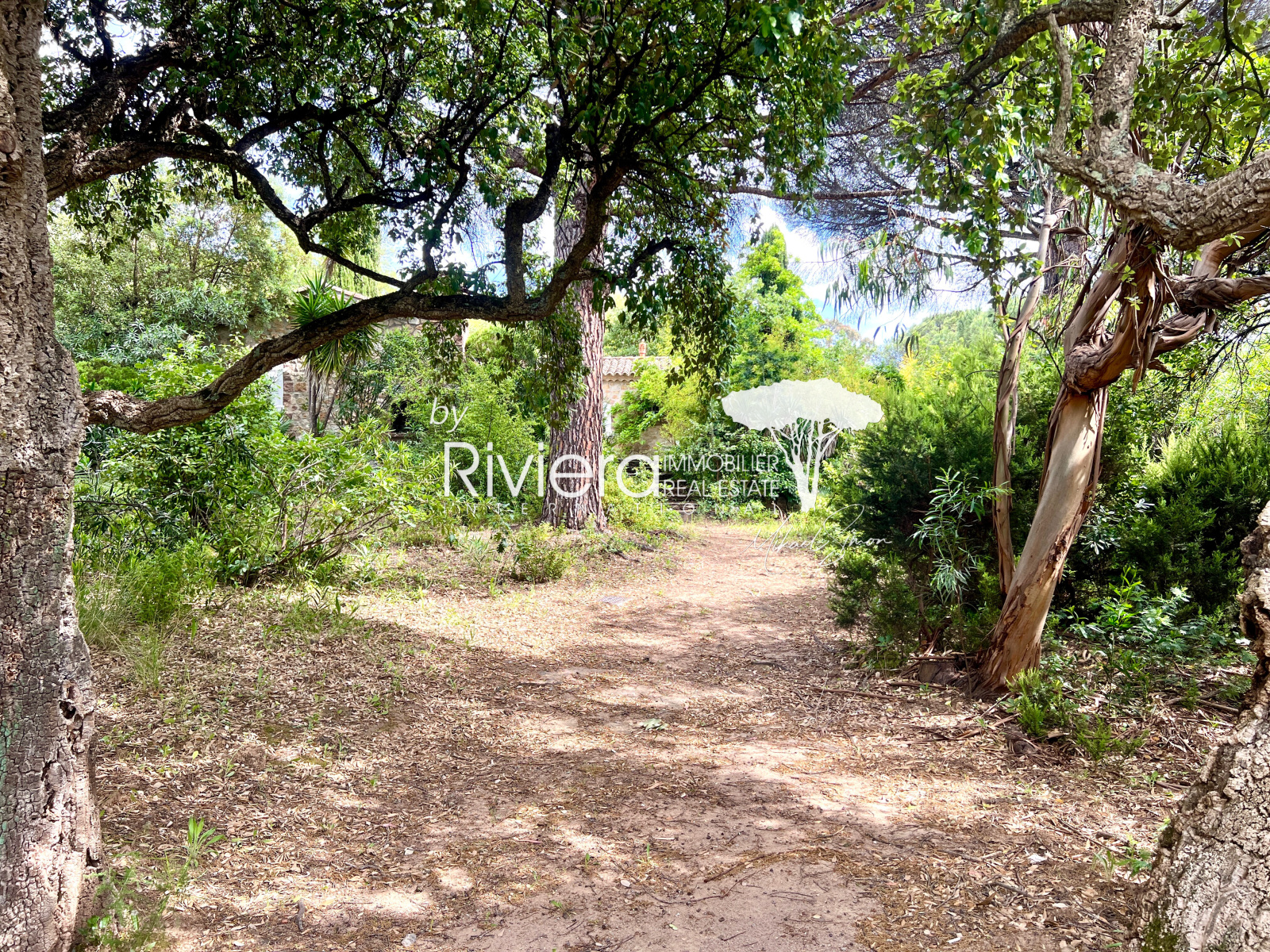 Image_9, Maison, Gassin, ref :VMA150002766