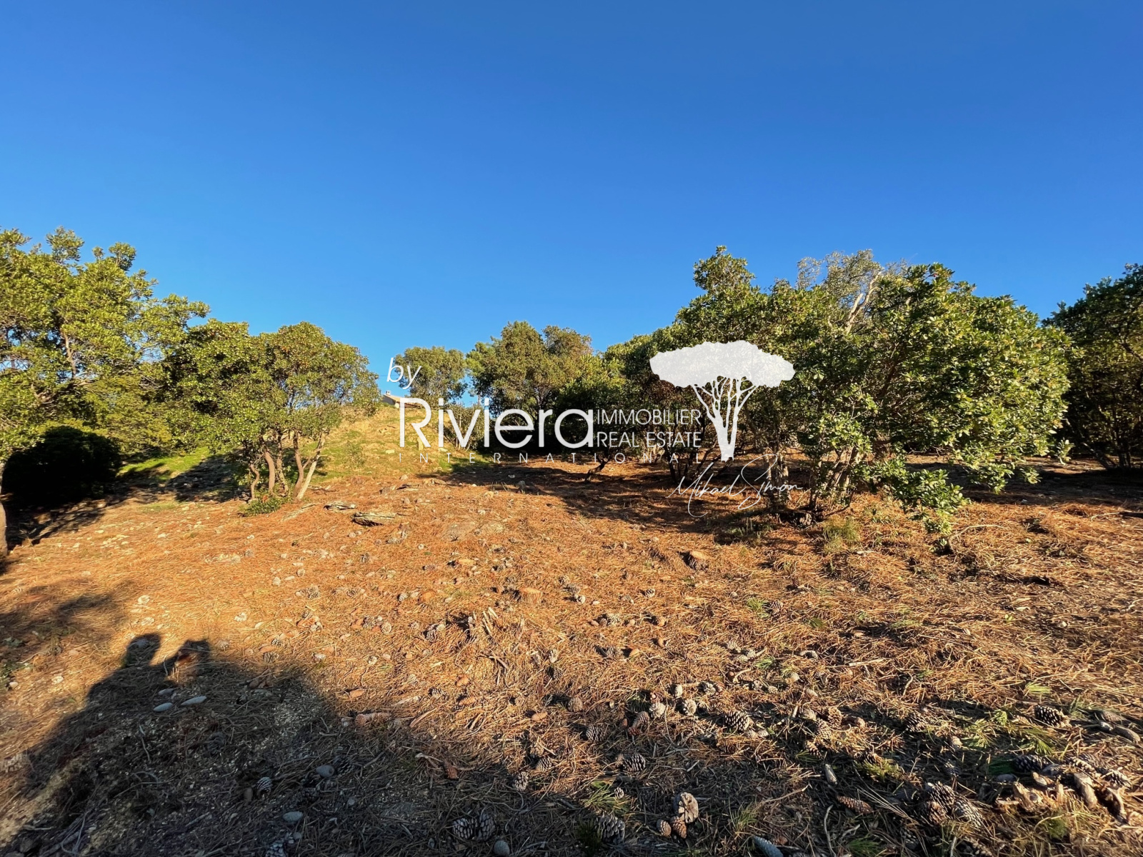 Image_3, Terrain, Rayol-Canadel-sur-Mer, ref :VTE10002672