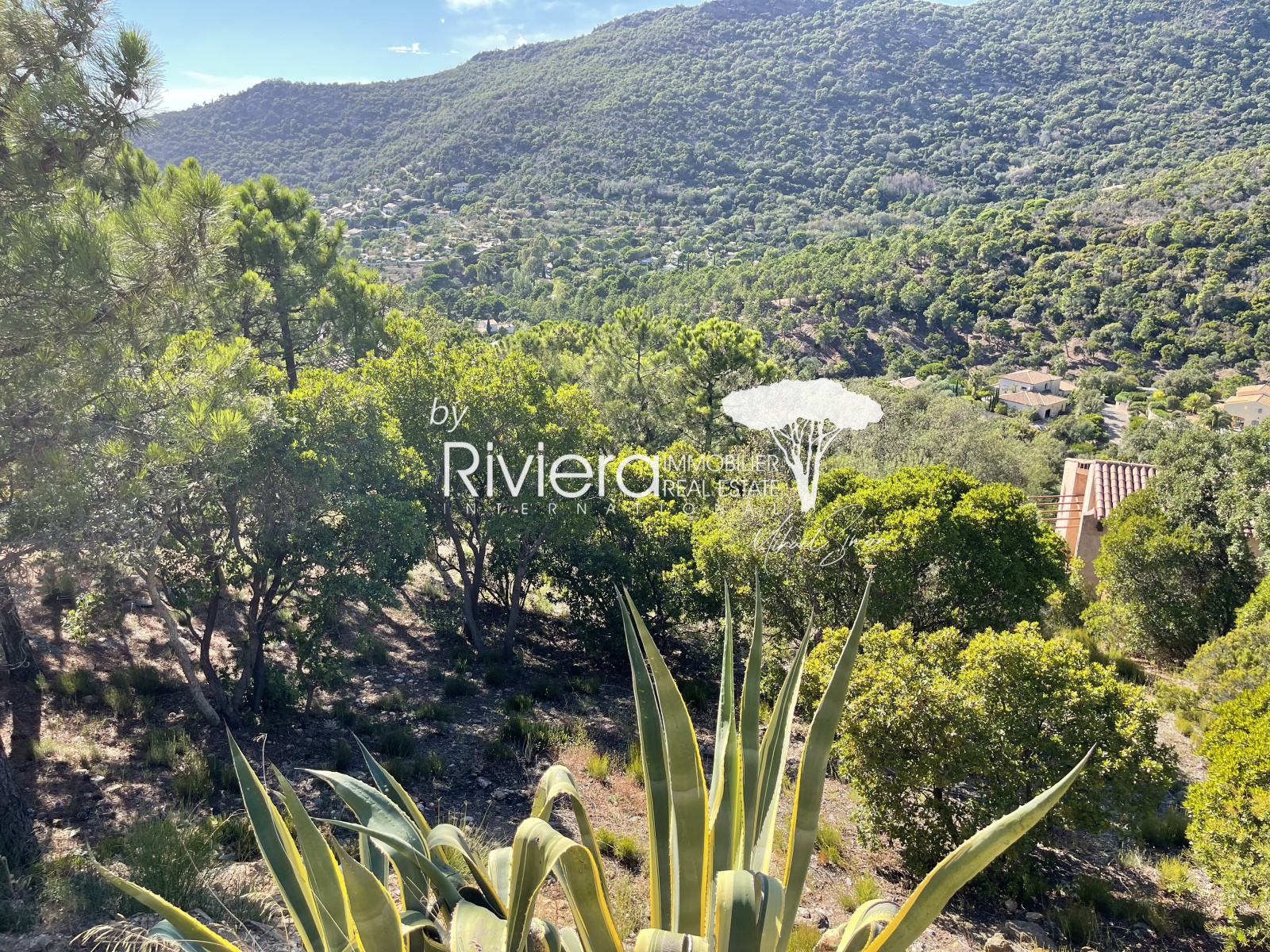 Image_5, Terrain, Rayol-Canadel-sur-Mer, ref :VTE10002672