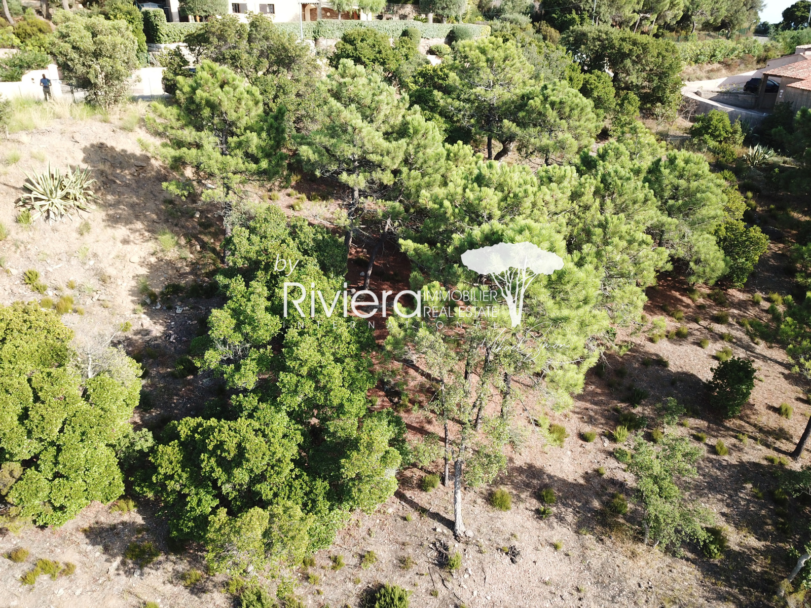 Image_4, Terrain, Rayol-Canadel-sur-Mer, ref :VTE10002672