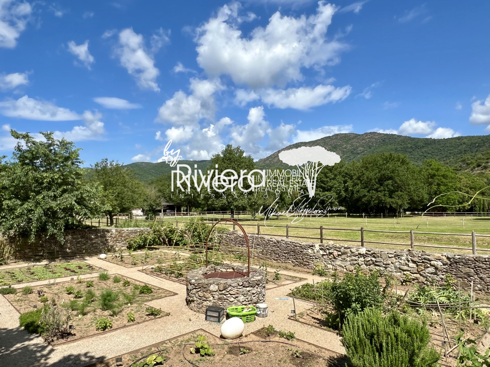 Image_50, Propriété, Le Lavandou, ref :VPR10001887