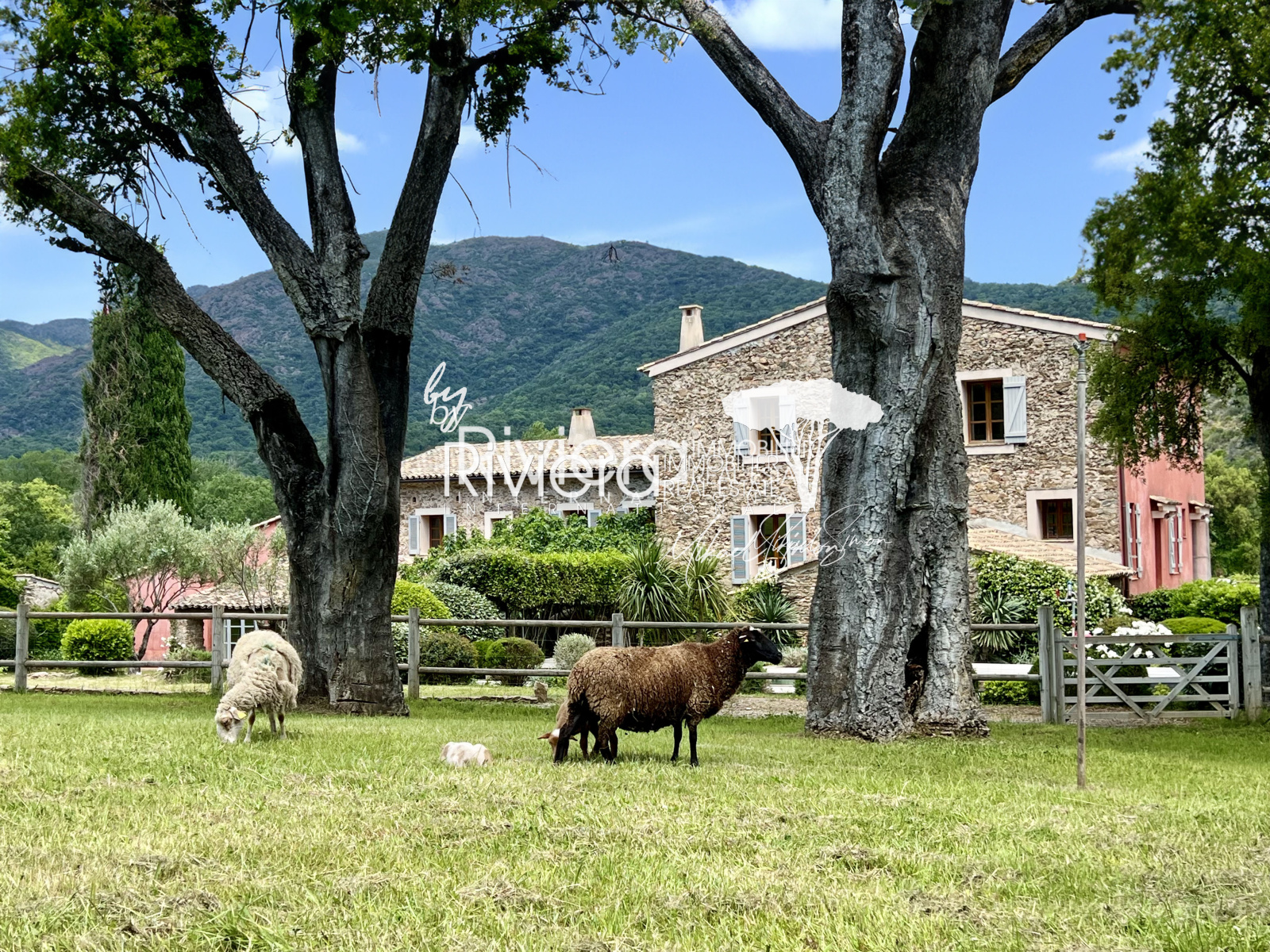 Image_11, Propriété, Le Lavandou, ref :VPR10001887