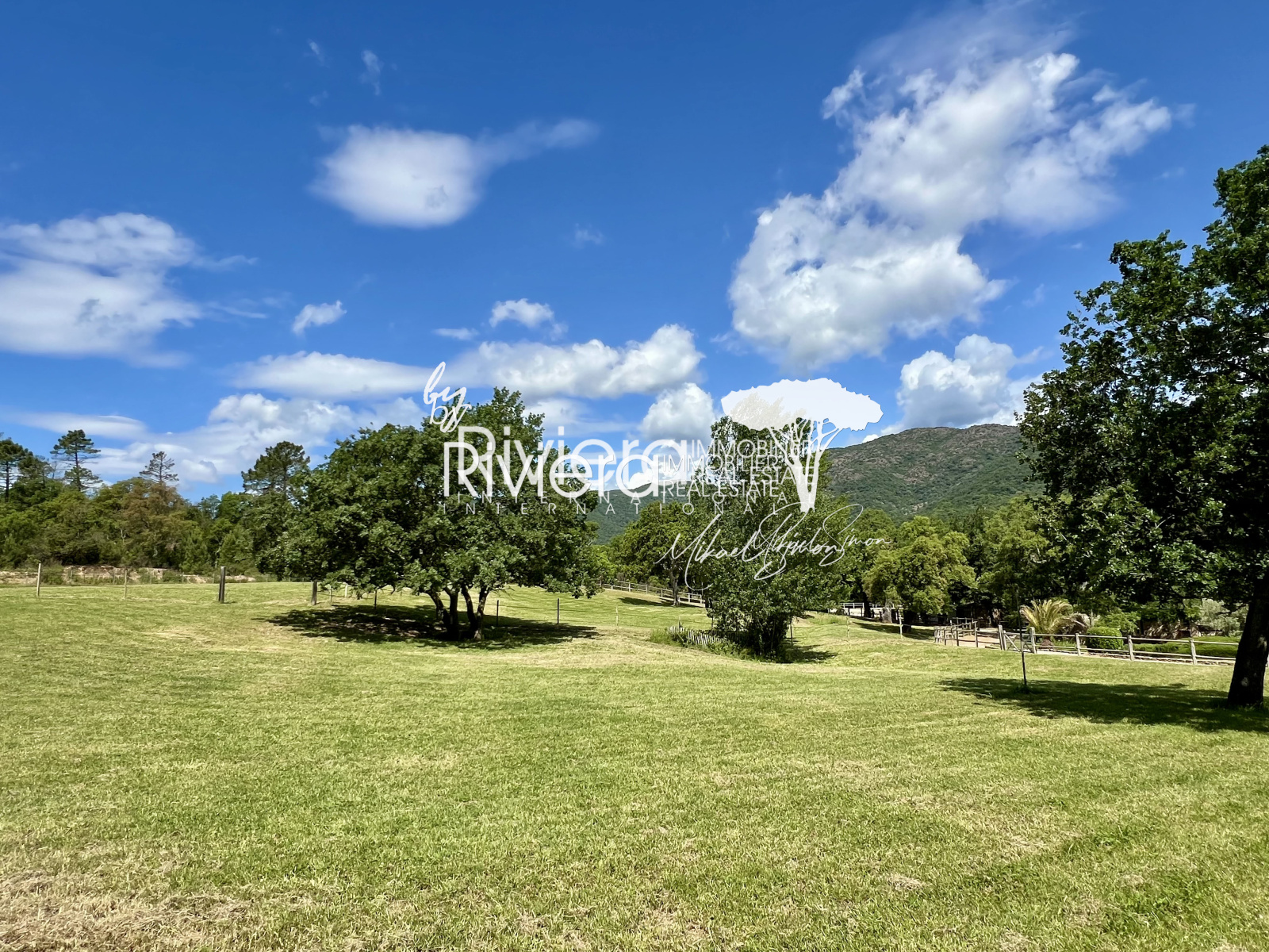 Image_14, Propriété, Le Lavandou, ref :VPR10001887