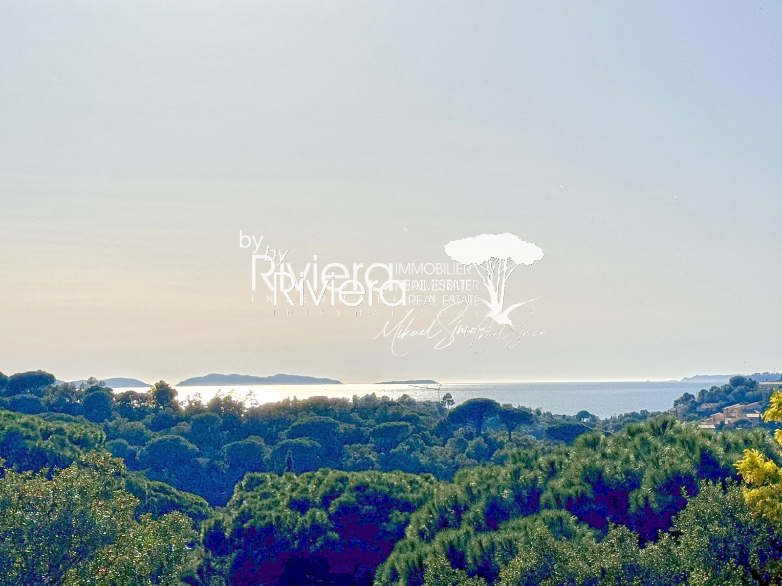 Image_2, Propriété, La Croix-Valmer, ref :VPR10002102