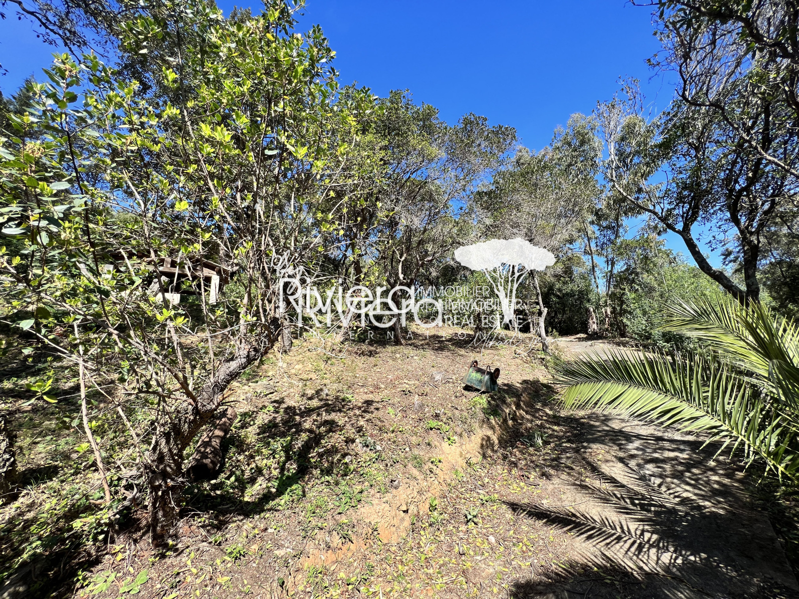 Image_8, Terrain, La Croix-Valmer, ref :VTE10001736