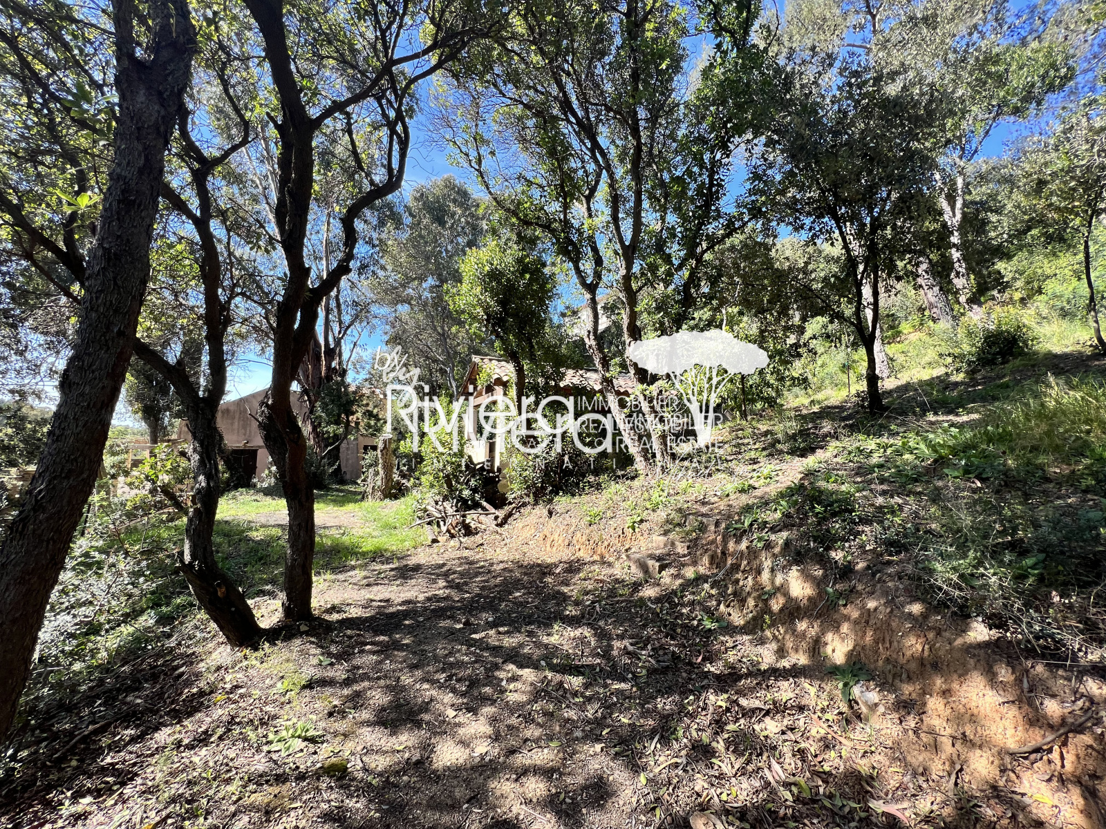 Image_4, Terrain, La Croix-Valmer, ref :VTE10001736