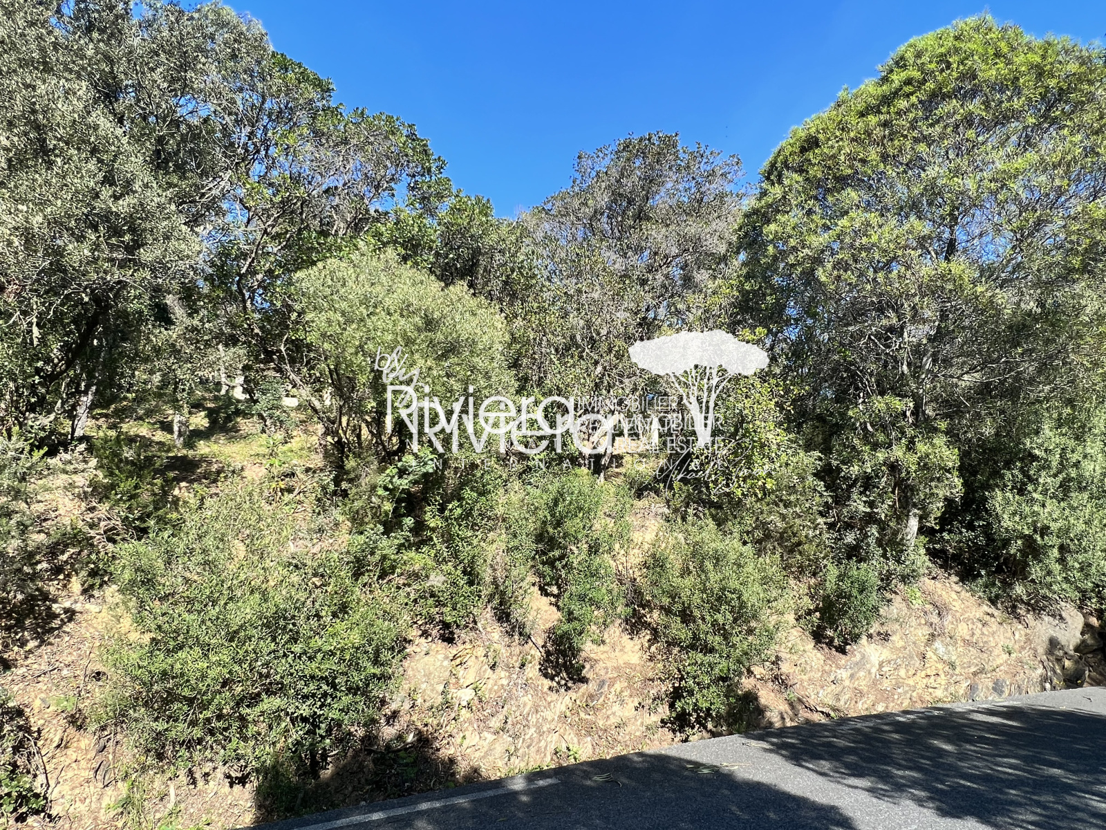 Image_5, Terrain, La Croix-Valmer, ref :VTE10001736