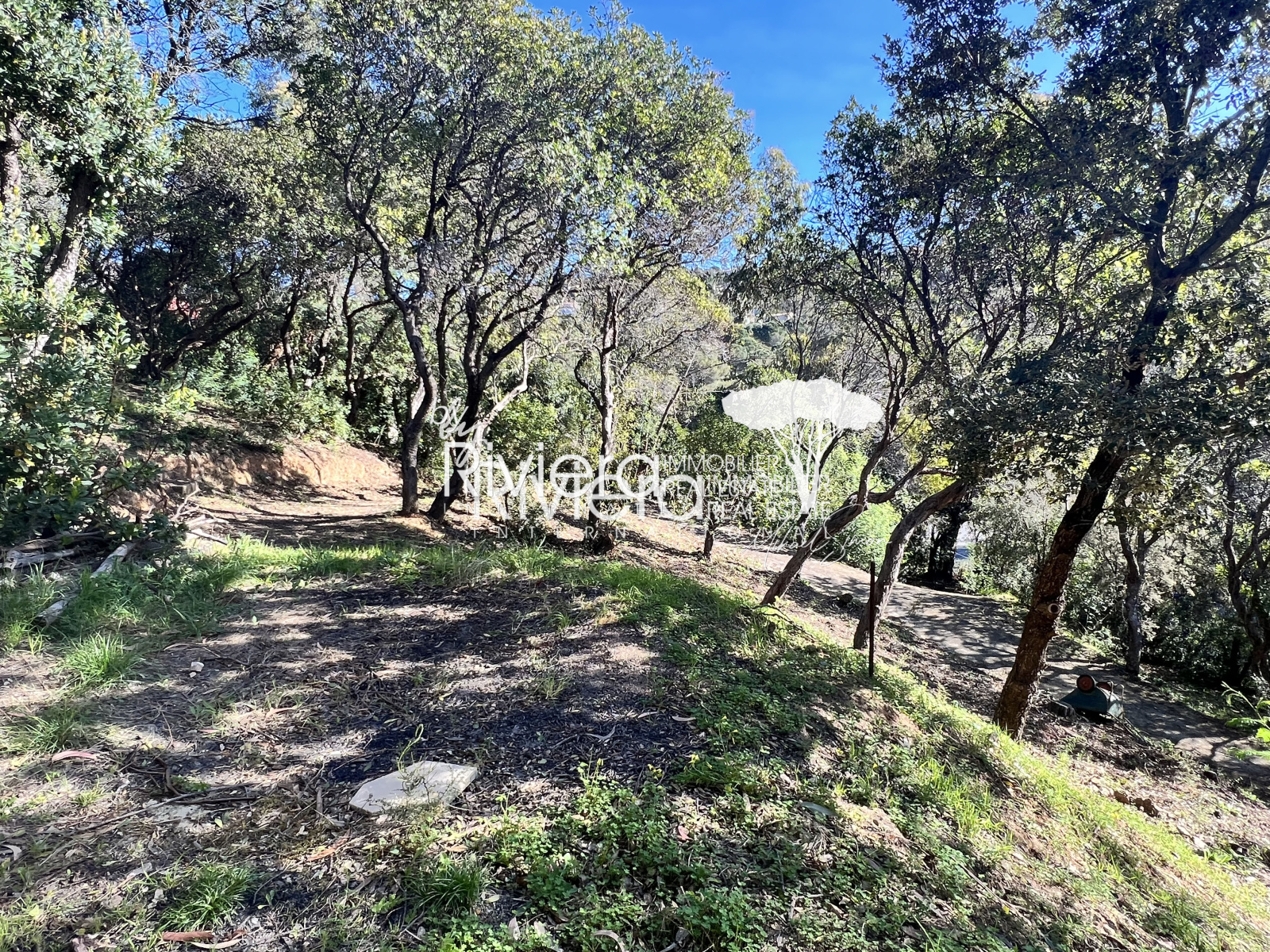 Image_3, Terrain, La Croix-Valmer, ref :VTE10001736