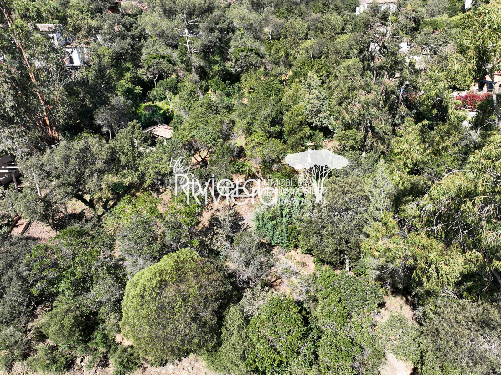 Image_2, Terrain, La Croix-Valmer, ref :VTE10001736