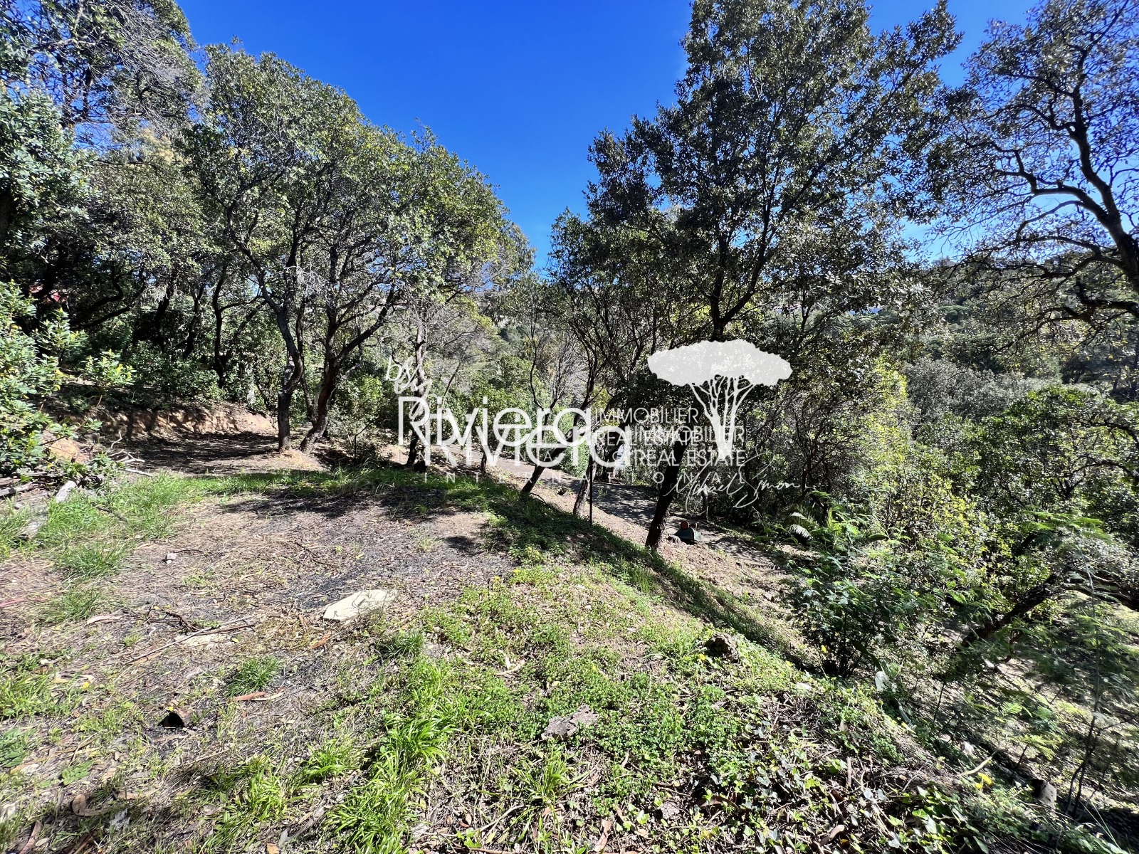 Image_7, Terrain, La Croix-Valmer, ref :VTE10001736