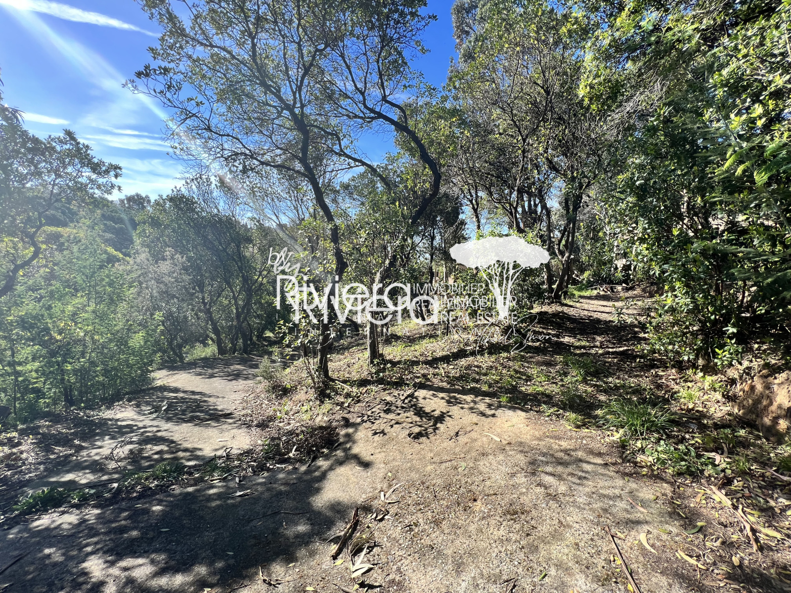 Image_6, Terrain, La Croix-Valmer, ref :VTE10001736