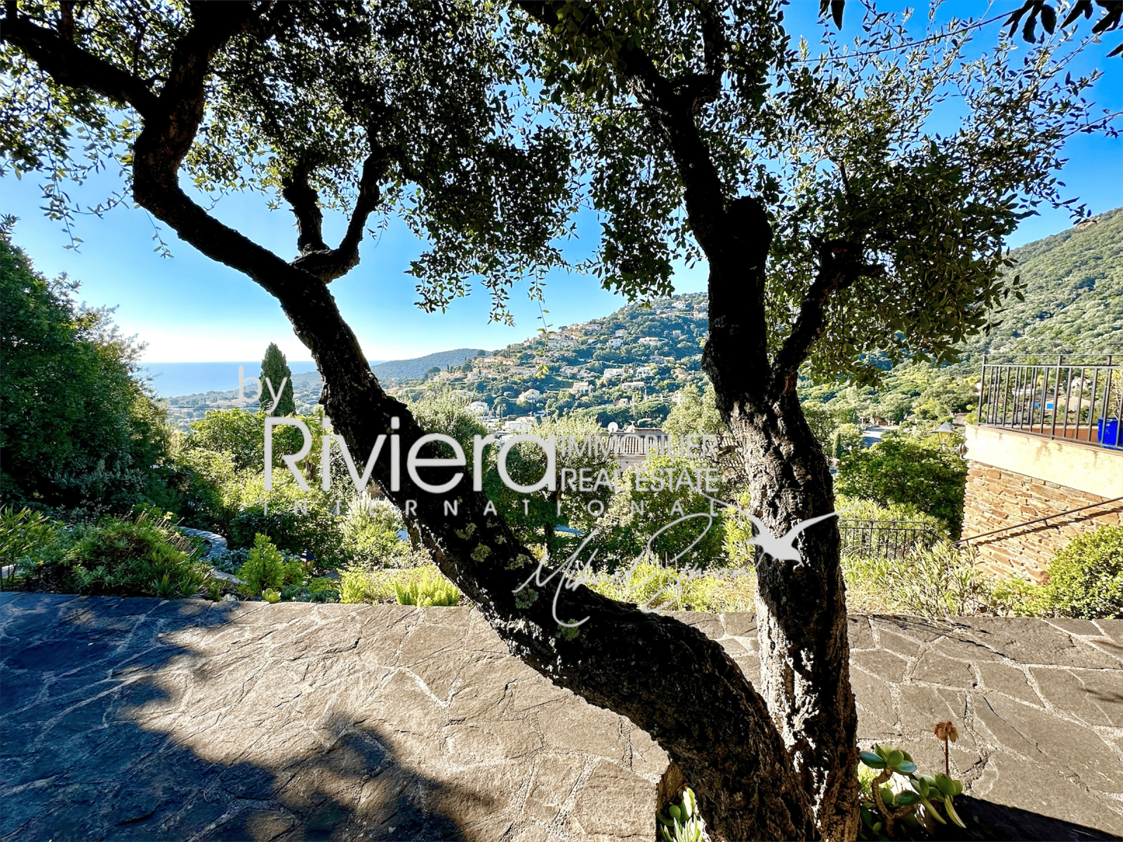 Image_4, Villa, Cavalaire-sur-Mer, ref :VVI10002119