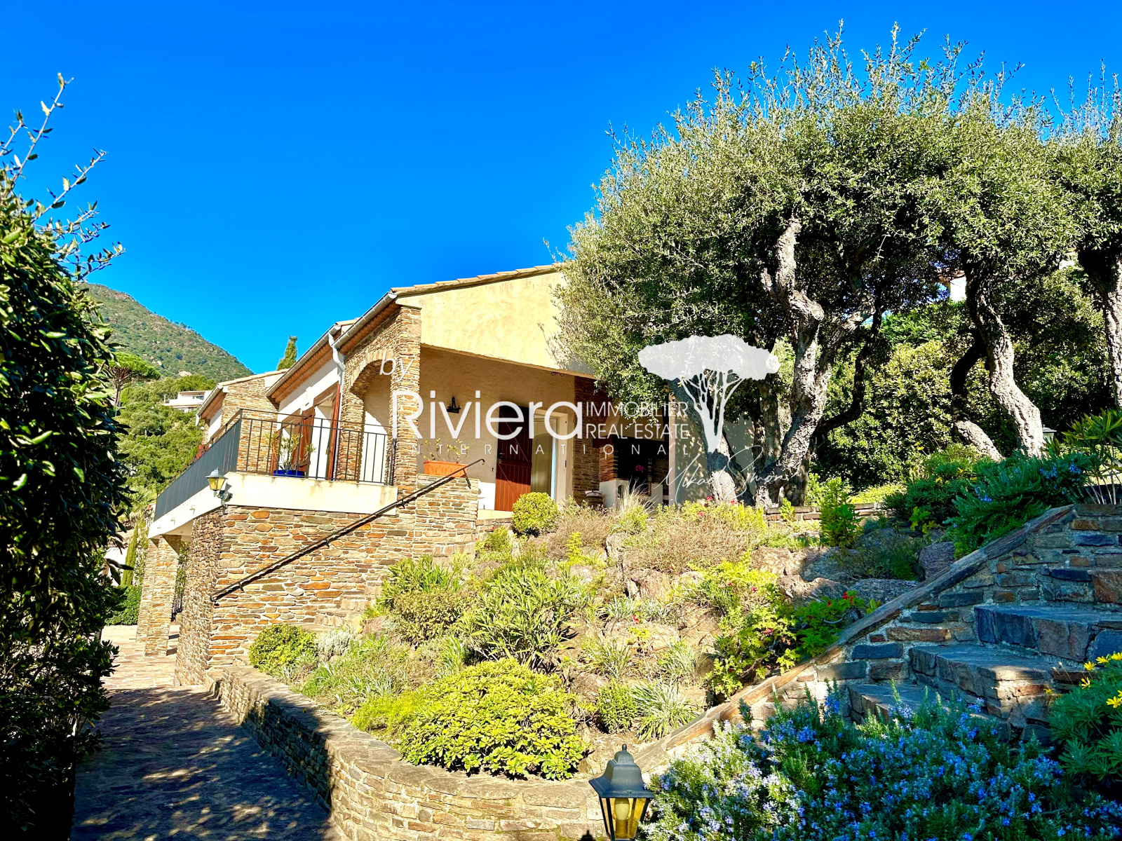 Image_5, Villa, Cavalaire-sur-Mer, ref :VVI10002119