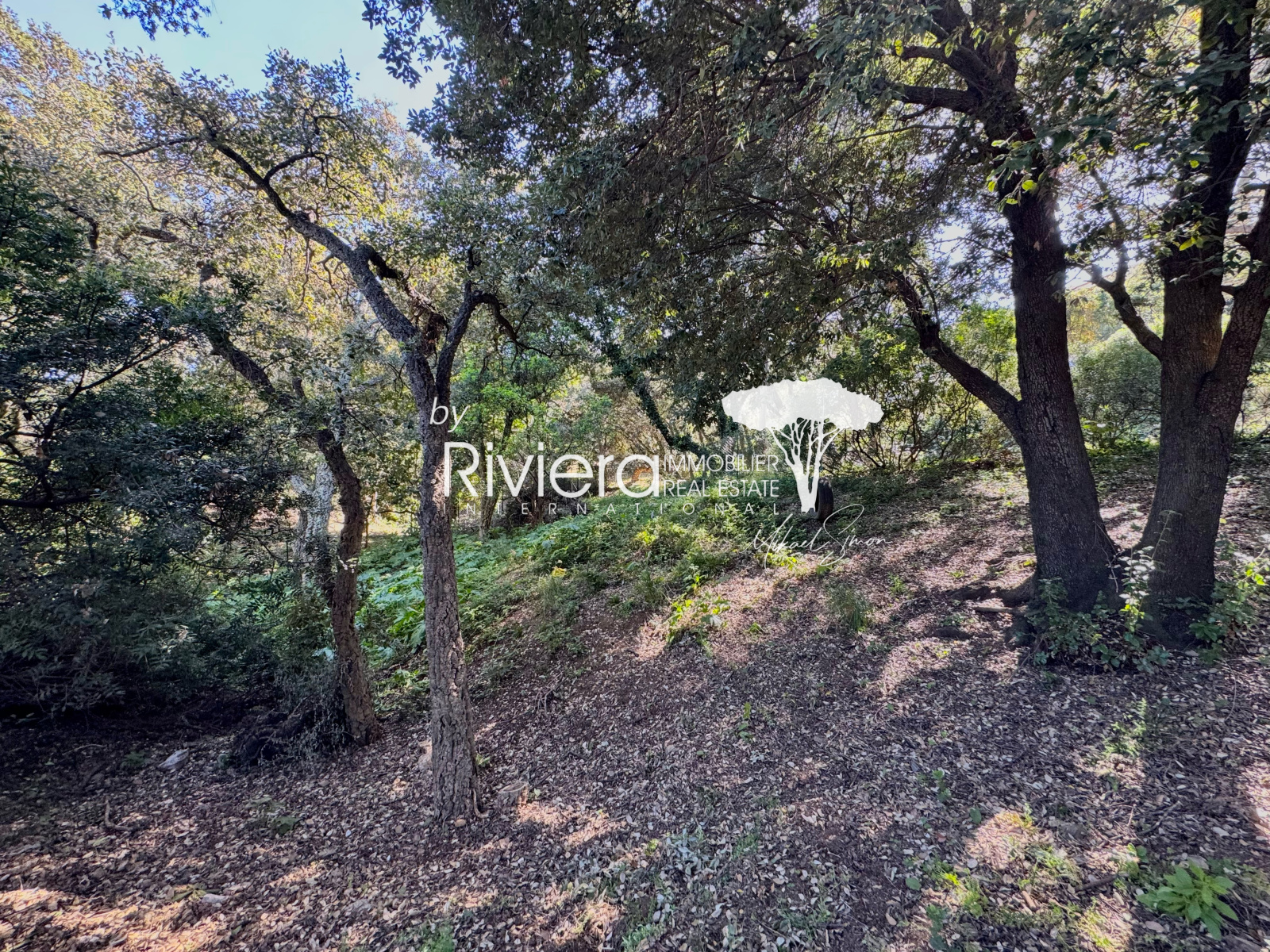 Image_27, Villa, La Croix-Valmer, ref :VVI10002744