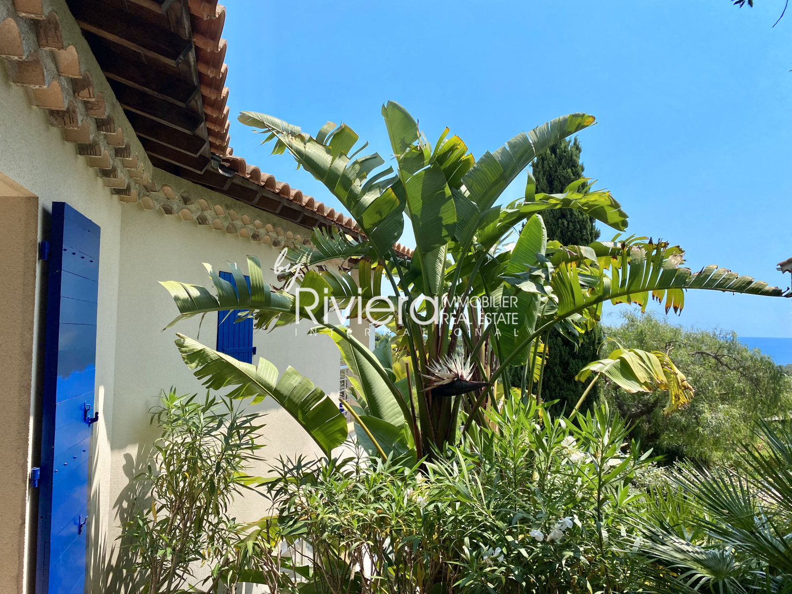 Image_28, Propriété, La Croix-Valmer, ref :VPR10001698