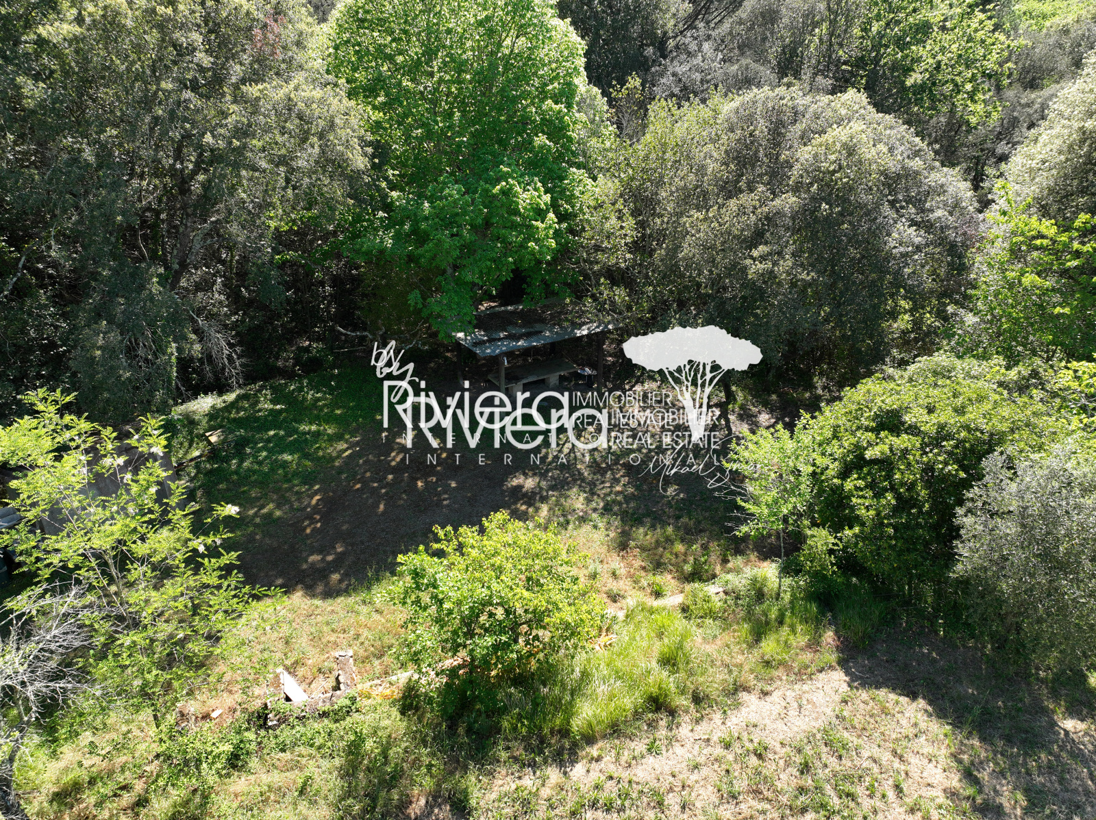 Image_12, Villa, La Croix-Valmer, ref :VVI10001767