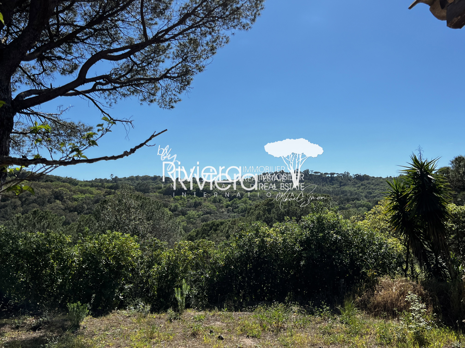 Image_2, Villa, La Croix-Valmer, ref :VVI10001767