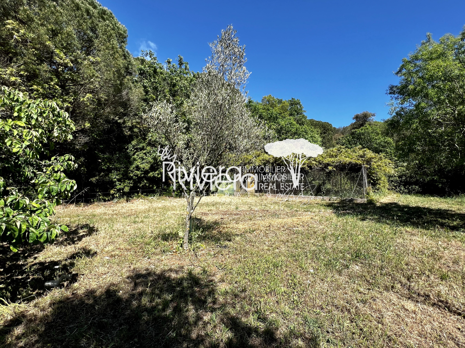 Image_15, Villa, La Croix-Valmer, ref :VVI10001767