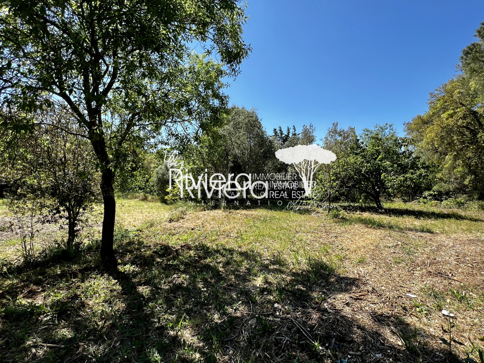 Image_18, Villa, La Croix-Valmer, ref :VVI10001767