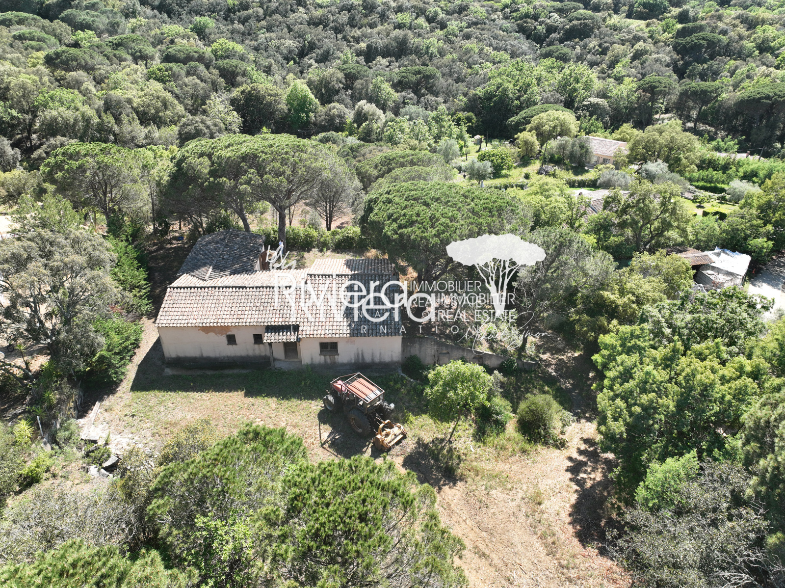 Image_8, Villa, La Croix-Valmer, ref :VVI10001767