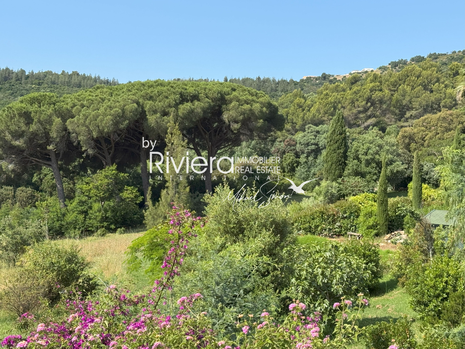 Image_19, Villa, Le Lavandou, ref :VVI10002568