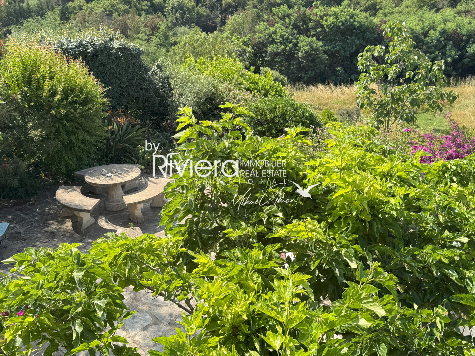 Image_21, Villa, Le Lavandou, ref :VVI10002568